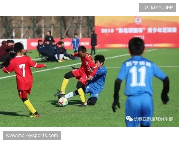 2026年游泳训练科研联盟发布青少年专项速度训练与恢复整合指南V3，中国青少年游泳训练大纲